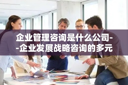 企业管理咨询是什么公司--企业发展战略咨询的多元路径