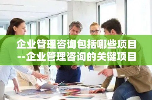 企业管理咨询包括哪些项目--企业管理咨询的关键项目与实践