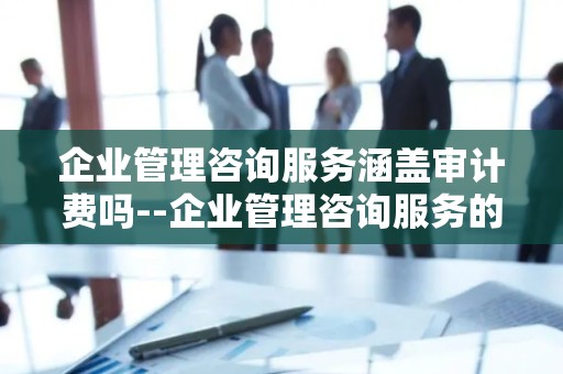 企业管理咨询服务涵盖审计费吗--企业管理咨询服务的全方位解析