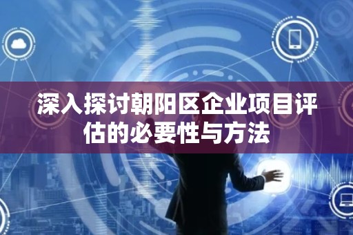 深入探讨朝阳区企业项目评估的必要性与方法
