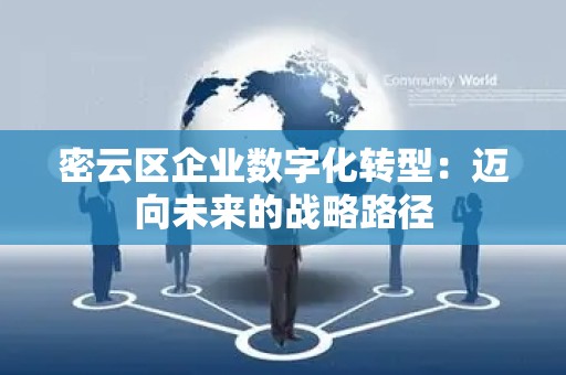 密云区企业数字化转型：迈向未来的战略路径