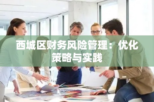 西城区财务风险管理：优化策略与实践