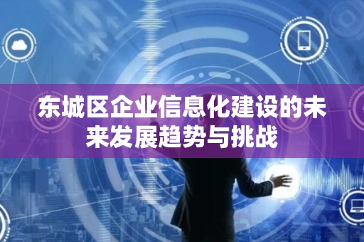 丰台区企业信息化建设的未来发展趋势与挑战
