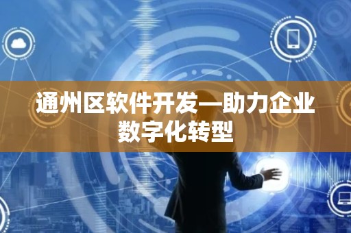 通州区软件开发—助力企业数字化转型