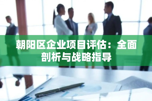 朝阳区企业项目评估：全面剖析与战略指导