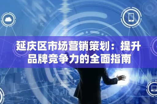 延庆区市场营销策划：提升品牌竞争力的全面指南