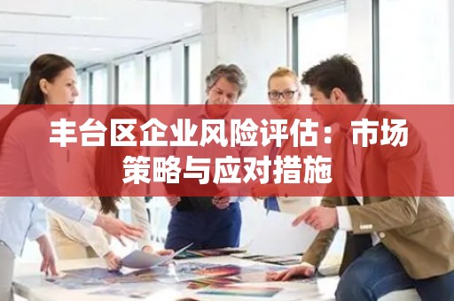 丰台区企业风险评估：市场策略与应对措施
