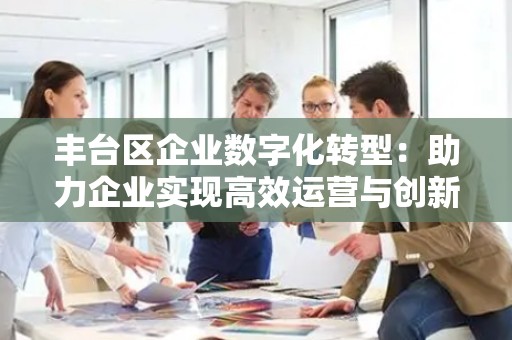 丰台区企业数字化转型：助力企业实现高效运营与创新