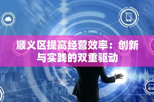 顺义区提高经营效率：创新与实践的双重驱动