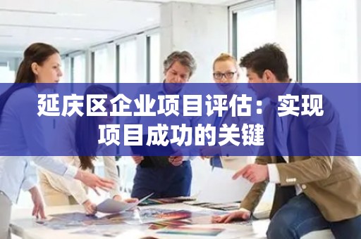 延庆区企业项目评估：实现项目成功的关键