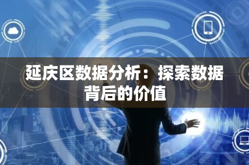 延庆区数据分析：探索数据背后的价值