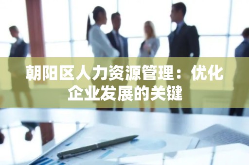 朝阳区人力资源管理：优化企业发展的关键