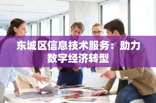 丰台区信息技术服务：助力数字经济转型