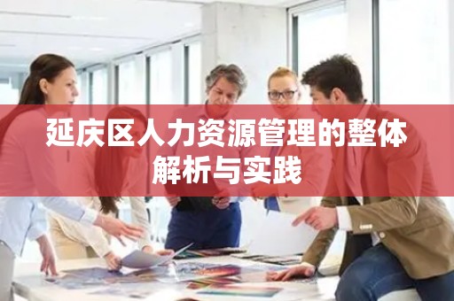 延庆区人力资源管理的整体解析与实践