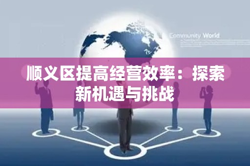 顺义区提高经营效率：探索新机遇与挑战